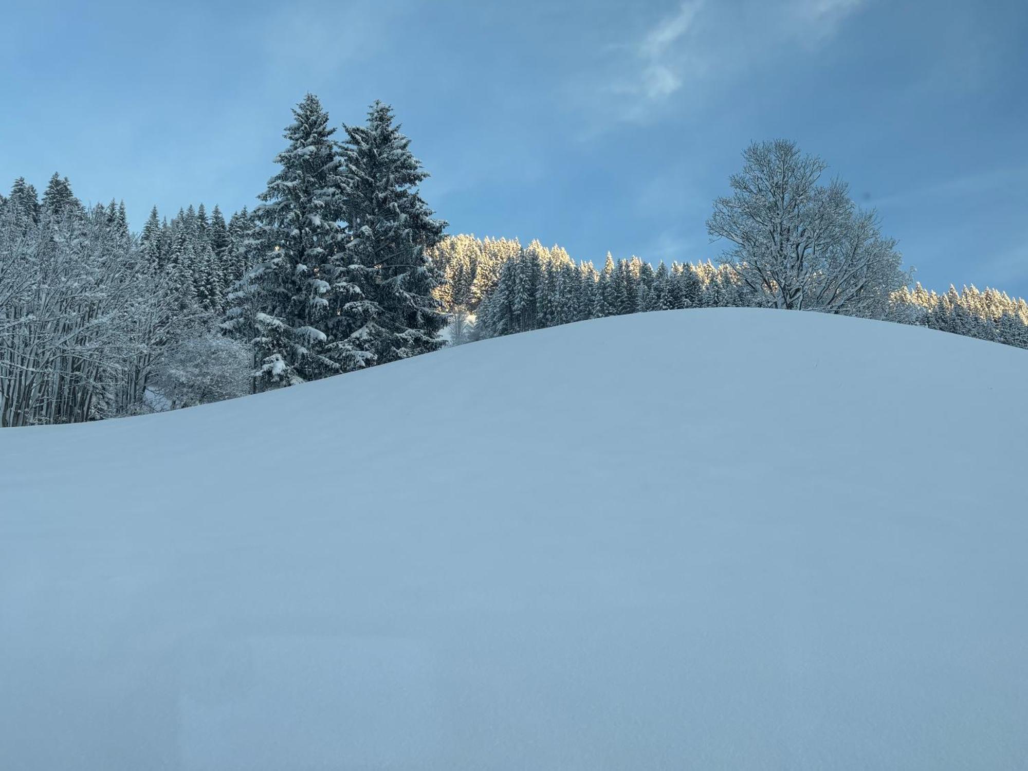 Grossbergblick Διαμέρισμα Filzmoos Εξωτερικό φωτογραφία